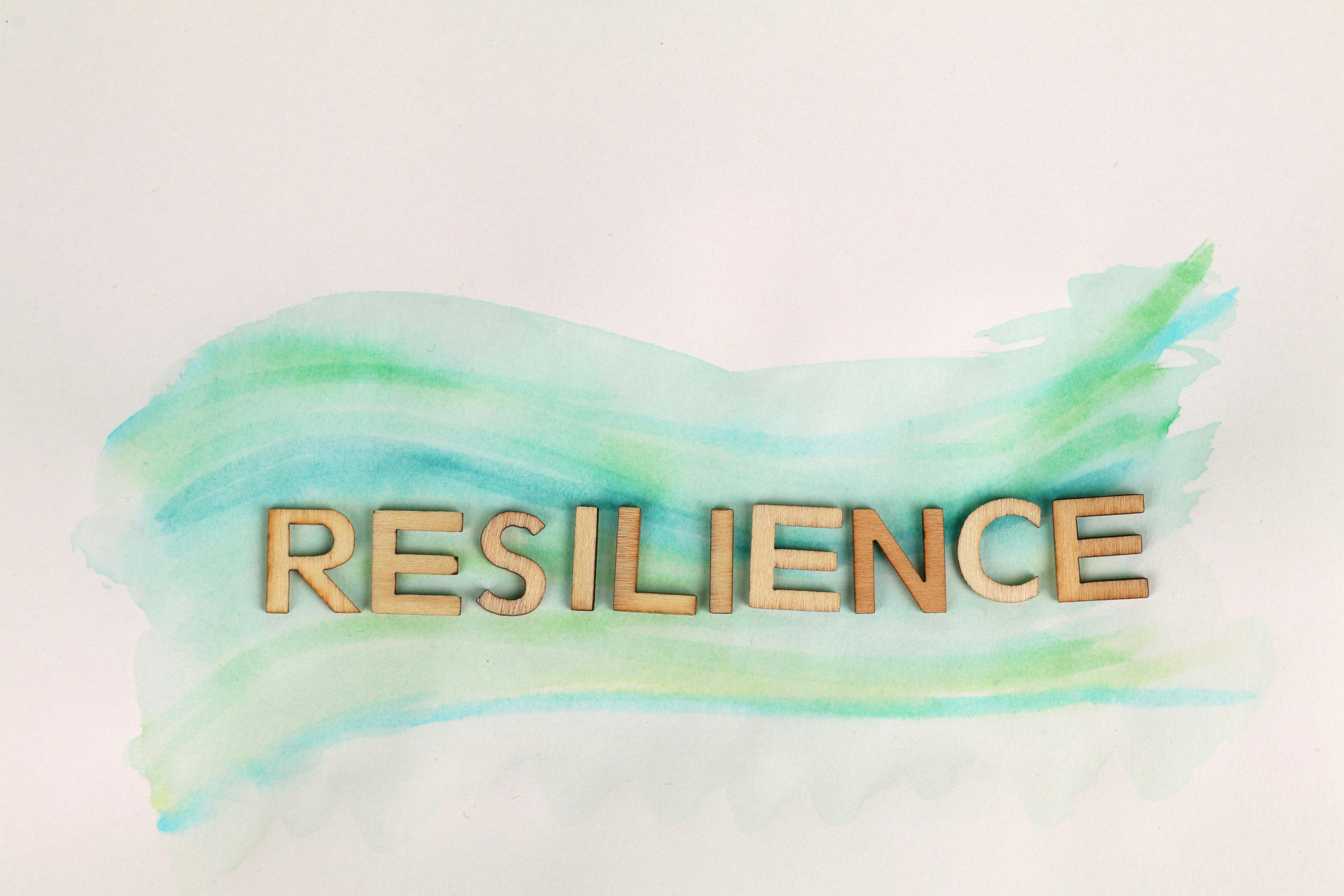 Resilience word